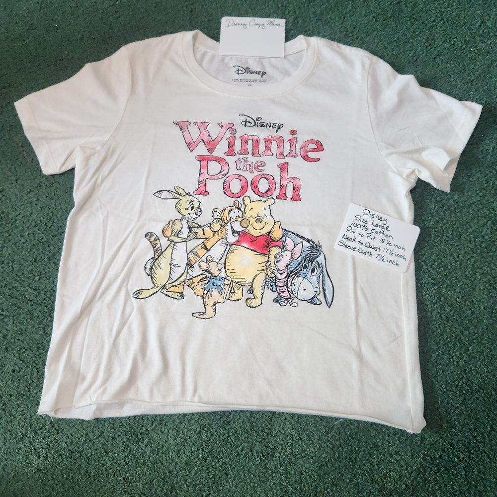 BoxLunch Winnie The Pooh t-shirt size Large NWOT
